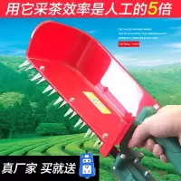  电动采茶机单人小型便携式充电茶叶收割机摘茶机绿篱机修剪机简便 锂电池8A+12V主机  