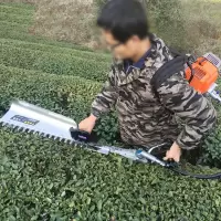  背负式绿篱机汽油茶树修剪机电动剪茶机修枝剪茶叶机剪配置 圣超双  