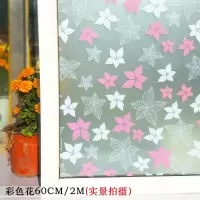  自粘窗户玻璃贴纸磨砂贴膜卫生间浴室阳台移门透光不透明遮光装饰 香槟色 彩色花60cm宽2米  