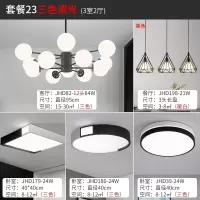 客厅灯新款北欧卧室灯简约现代全屋灯具套餐组合分子吊灯 套餐21[三室两厅]-三色