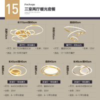 轻奢客厅灯大气家用灯具北欧闪电客现代简约创意圆环吸顶灯卧室灯饰 B款三室二厅暖光