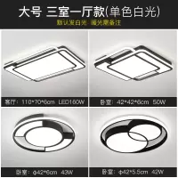 全屋灯具三房两厅套装组合闪电客智能语音调光吸顶灯现代北欧套餐客厅灯 大号三室一厅单色白光
