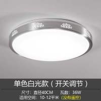 圆形 吸顶灯现代简约家用客厅灯闪电客大气过道走廊房间阳台卧室灯具 菊花40cm白光36W