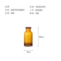 北欧简约玻璃透明花瓶插花瓶家居餐桌装饰摆件客厅干花水培小花瓶 棕色字母瓶小号