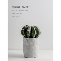 北欧现代简约水泥花盆仿真绿植摆件创意多肉盆栽桌面家居装饰摆设 中号圆形水泥花瓶[配一颗仙人球]