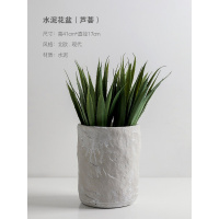 北欧现代简约水泥花盆仿真绿植摆件创意多肉盆栽桌面家居装饰摆设 大号水泥圆形花瓶[配2束大剑英]