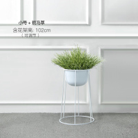 北欧现代客厅纯白铁艺落地花架绿萝吊兰阳台花架子简约室内外花盆 102cm小号花架+斑马草[套装价] 大