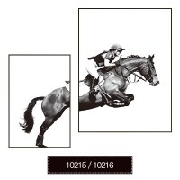 现代简约客厅黑白组合装饰画办公室北欧励志挂画餐厅马到 10215/10216 40*60/60*80深木框油画布画面AA