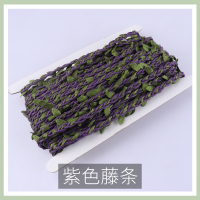 DIY彩色绿色藤条树叶绿叶森林系装饰绳子麻绳手工编织材料饰品 藤条紫色20M