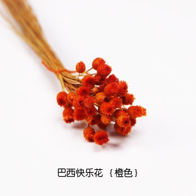 干花花束巴西快乐花风干花朵客厅装饰摆件花瓶天然干花插花真花 橙色快乐花/1束