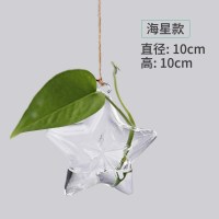 水培玻璃花瓶透明植物花盆壁挂创意diy墙上装饰悬挂小吊瓶小清新 悬挂海星送麻绳1米