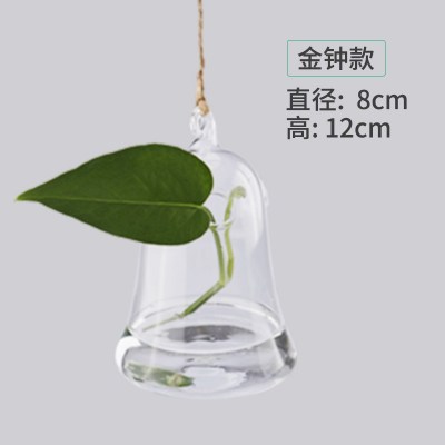 水培玻璃花瓶透明植物花盆壁挂创意diy墙上装饰悬挂小吊瓶小清新 悬挂金钟送麻绳米