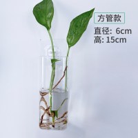 水培玻璃花瓶透明植物花盆壁挂创意diy墙上装饰悬挂小吊瓶小清新 壁挂方管送钉贴水晶泥