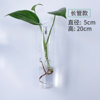 水培玻璃花瓶透明植物花盆壁挂创意diy墙上装饰悬挂小吊瓶小清新 壁挂长管送钉贴水晶泥