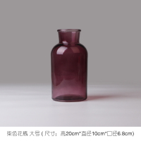 花瓶玻璃透明彩色客厅插花摆件小清新欧式干花水培挂瓶台面工艺品 紫色大号