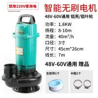 闪电客直流潜水泵12V 48V 60伏家用高扬程抽水泵农用农业灌溉电瓶车 ZQB48v-60v(1800W7米电线)