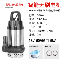 闪电客直流潜水泵12V 48V 60伏家用高扬程抽水泵农用农业灌溉电瓶车水 ZQB48v-60v(300W7米电线刚壳)