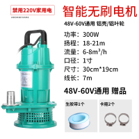 闪电客直流潜水泵12V 48V 60伏家用高扬程抽水泵农用农业灌溉电瓶车水 ZQB48v-60v(300W7米电线铝壳)