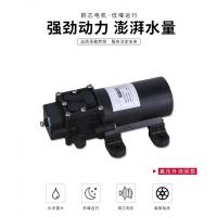 电动喷雾器高压水泵园艺工具电机配件 高压外回流智能0.6泵(黑色)