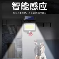 光伏太阳能闪电客庭院灯家用照明分体式新农村室内户外超亮防水感应壁灯