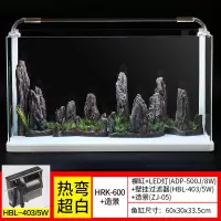 热弯 鱼缸免换水懒家居人生态鱼缸小型水族箱摆件超白玻璃金鱼缸水缸 长60cm热弯超白缸+灯+过滤器+假山景