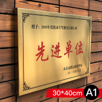铜牌定做定制牌子公司牌广告牌户外头招牌不锈钢钛金牌匾制作 30x40cm哑光钛金【A1款】