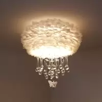 卧室温馨吸顶灯闪电客北欧灯具儿童房简约现代客厅餐厅水晶灯ins羽毛灯