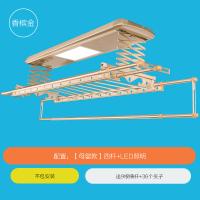 闪电客晾衣架电动家用阳台室外自动凉衣架多功能烘干智能升降自动晒衣架 [母婴款]FK-8001香槟金不