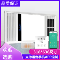 300*600集成吊顶闪电客卫浴多功能暖风浴霸五合一