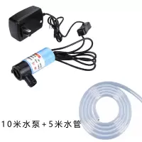 12V直流微型小型220V家用潜水泵迷你开机闪电客小水泵自吸泵水钻专用 扬程10米水泵+5米水管
