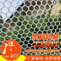 闪电客 塑料网格防护网防猫网阳台防掉东西儿童胶网防盗封窗户网垫板 抖音