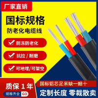 闪电客国标2芯铝芯家用户外电缆线电线46101625平方双芯铝线护套线