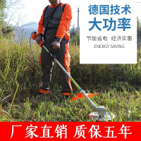 充电式锂电无刷电动割草机除草机割灌机多功能园林高枝锯绿篱剪 有刷24v12ah锂电池+套餐