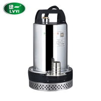 绿一(Lvyi)直流水泵家用12V自吸水泵抽水泵微型不锈钢潜水泵农用抽水机 60V(370瓦)2寸配10米线