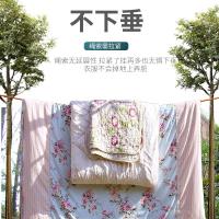 晾衣绳室内免打孔凉衣闪电客户晒衣服绳子晒被子防风防滑 10.5mm天空蓝/10米(送大号金属晾被夹4个)