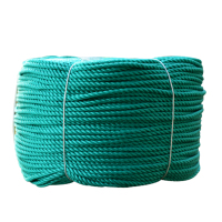 尼龙绳子捆绑绳塑料闪电客绳聚乙烯绳大棚压膜绳养殖园艺植物攀爬绳 12毫米10米