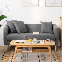 沙发小户型闪电客租房小沙发北欧简约现代客厅网红款简易单双人布艺沙发