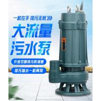 污水泵家用小型CIAA抽水泵化粪池抽粪泥浆排污泵抽水机水泵潜水泵220V 370w污水泵裸机