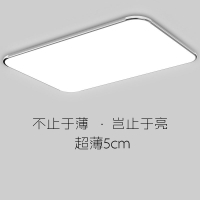 客厅灯2021年新款LED吸顶灯闪电客遥控卧室灯具简约现代家用大气阳台灯