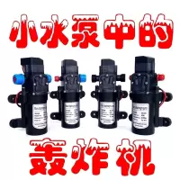 隔膜泵气动12v24v直流泵家用自吸泵增压泵喷雾器化工泵洗车机高压 溢压回流型 A型接口 24V 60W