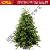 圣诞节装饰品1.8米1.5米PE混合大型圣诞树套餐裸树场景布置摆件 1.2米美版(PE+PVC)圣诞树