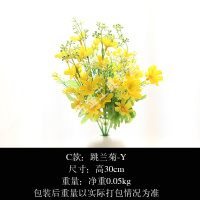 美式花花束干花家居客厅餐桌花艺摆设假花花卉摆件装饰品 跳兰菊-C款 花瓣