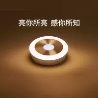 智能人体感应灯闪电客led小夜灯电池家用过道自动光控楼道走廊壁灯 感应小夜灯