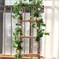 假花藤条吊顶空调包下闪电客水管道装饰藤条缠绕遮挡塑料花藤蔓仿真植物 12叉玫瑰花藤(白色)