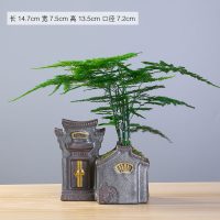 创意个性绿植文竹盆景植物家用办公室内盆栽陶瓷花盆客厅摆件装饰 (乌金1063)不含植物 中等