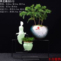 陶瓷花盆铁艺花架组合盆栽桌面创意摆件盆景禅意小清新绿植多肉盆 铁艺花盆组合[六] 中等