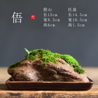 苔藓盆栽假山吸水石盆景水培青苔造景办公室桌面净化空气花盆摆件 [俉-假山苔藓盆栽] 小