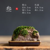 苔藓盆栽假山吸水石盆景水培青苔造景办公室桌面净化空气花盆摆件 [叁-假山苔藓盆栽] 小