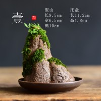 苔藓盆栽假山吸水石盆景水培青苔造景办公室桌面净化空气花盆摆件 [壹-假山苔藓盆栽] 小