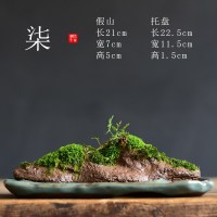 苔藓盆栽假山吸水石盆景水培青苔造景办公室桌面净化空气花盆摆件 [柒-假山苔藓盆栽] 小